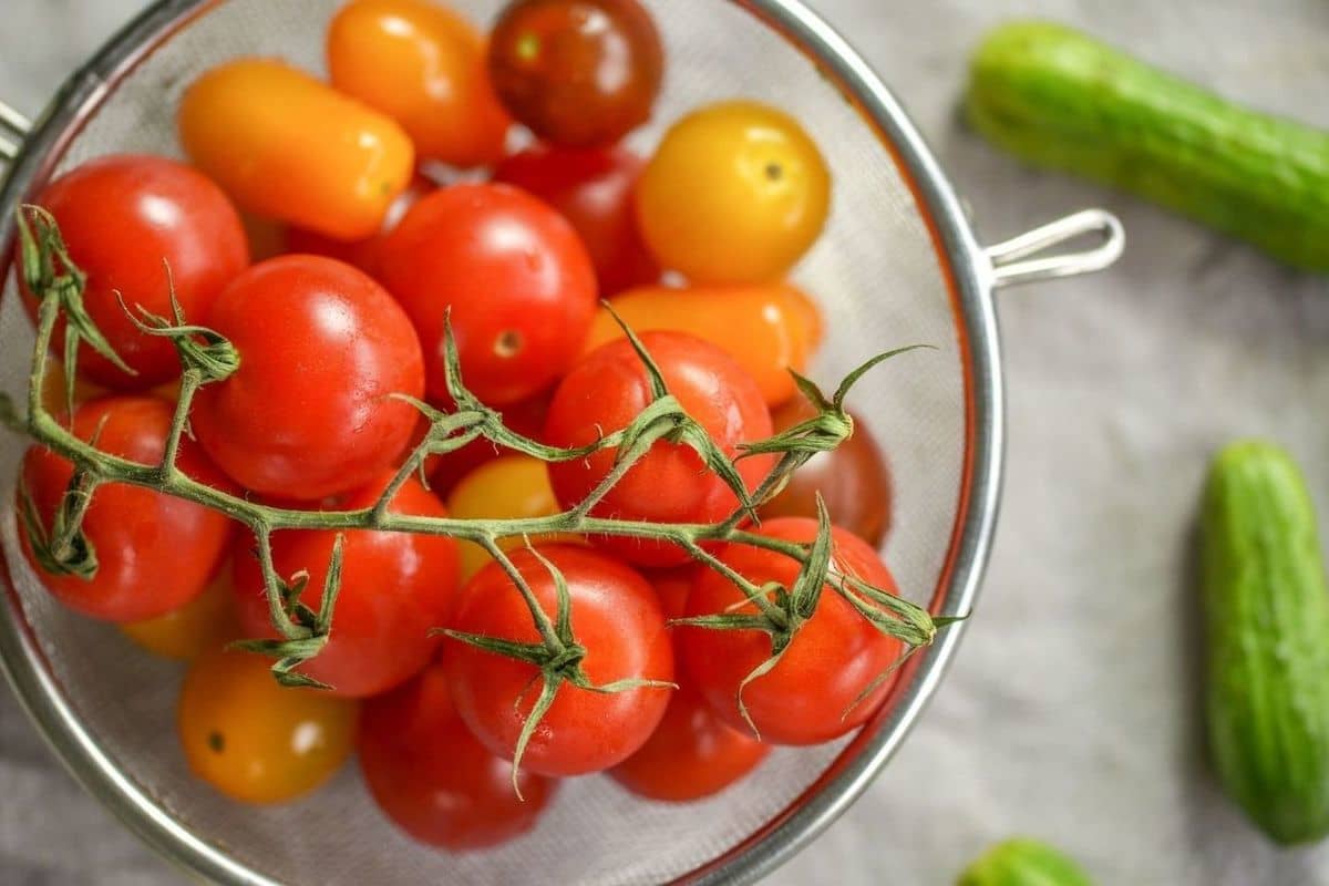 cherry tomato recipes