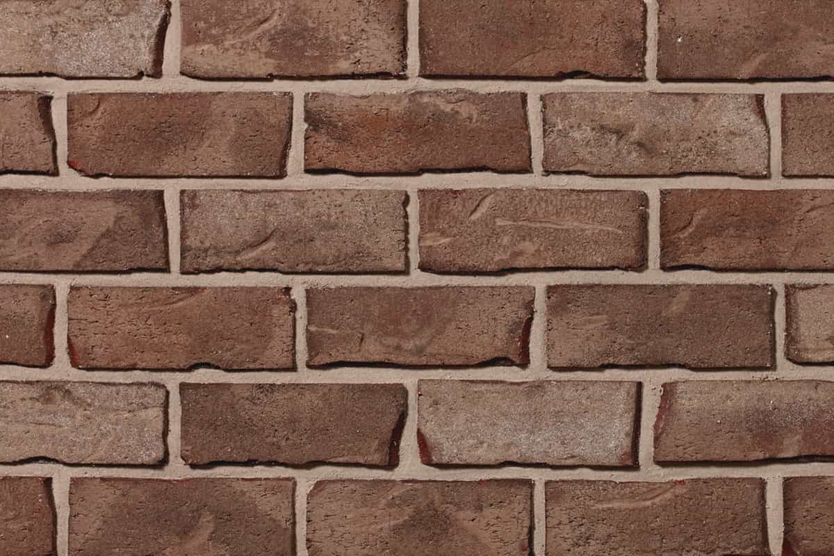 wire cut bricks size