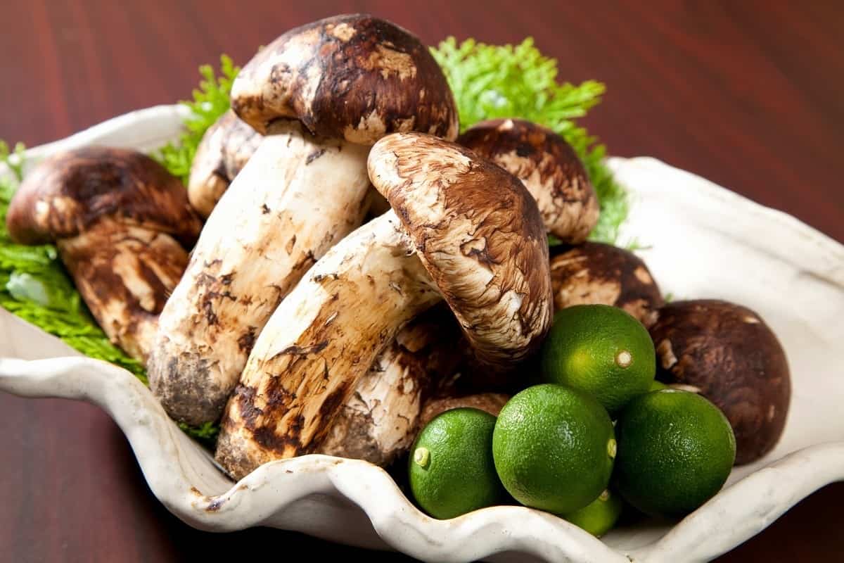roasting matsutake mushrooms