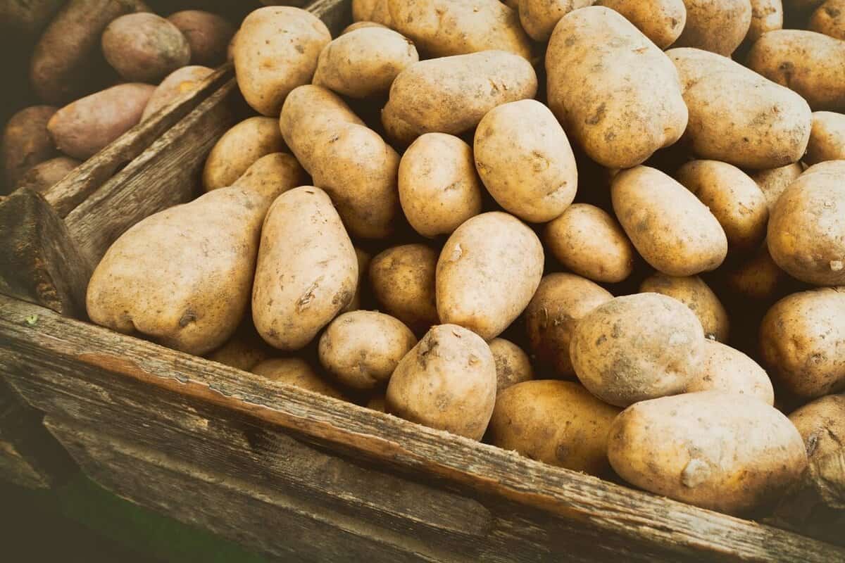 potato nutrition facts