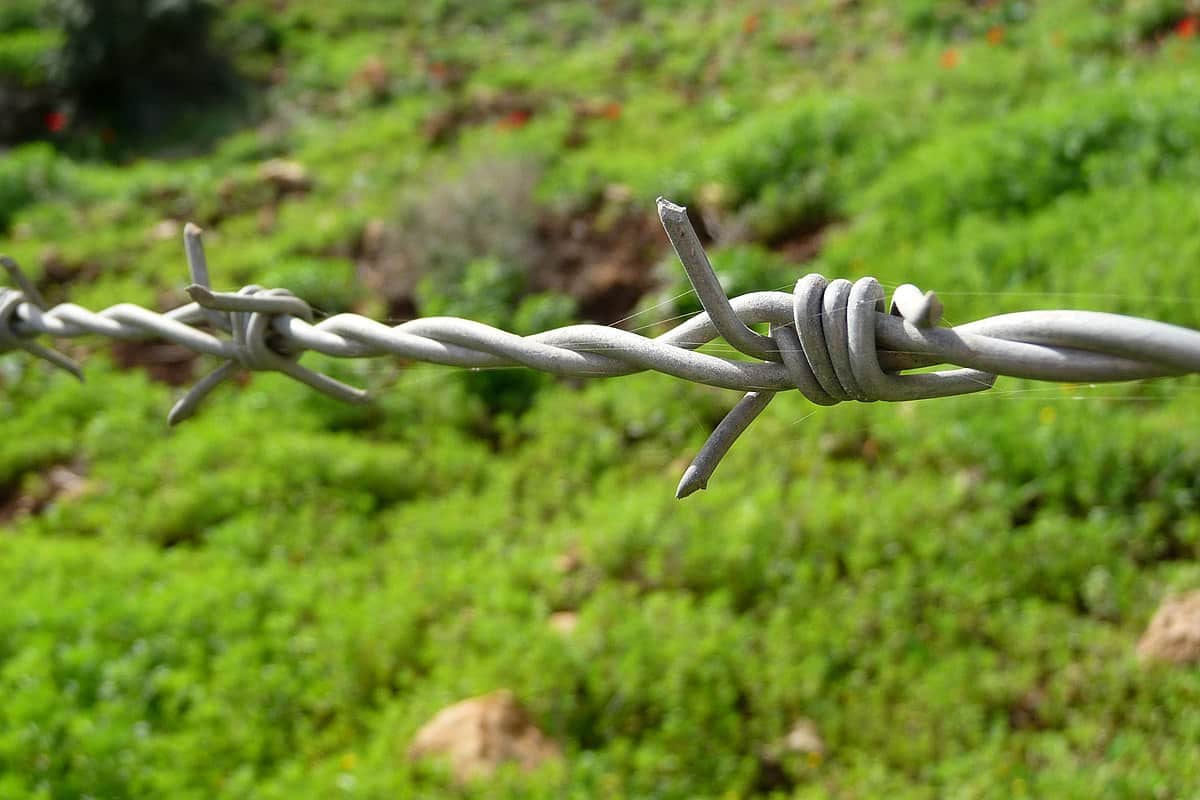 high tensile barbed wire vs regular barbed wire