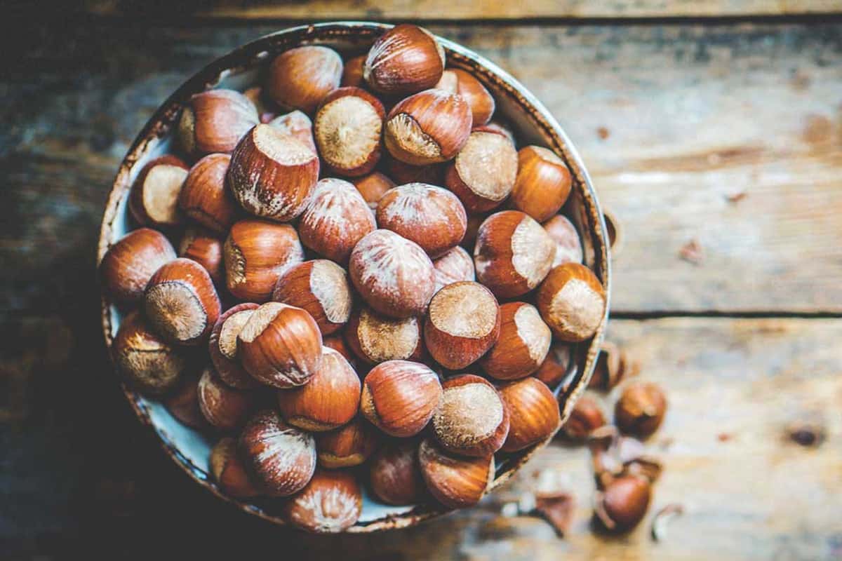 hazelnuts in shell