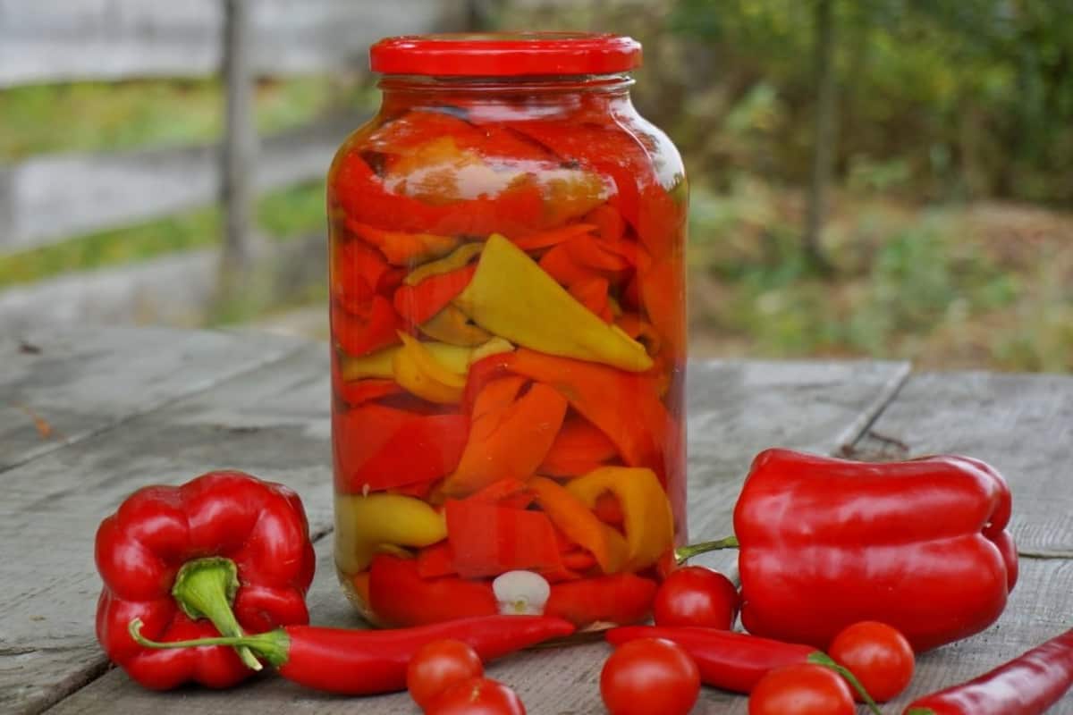 pickled peppers canning