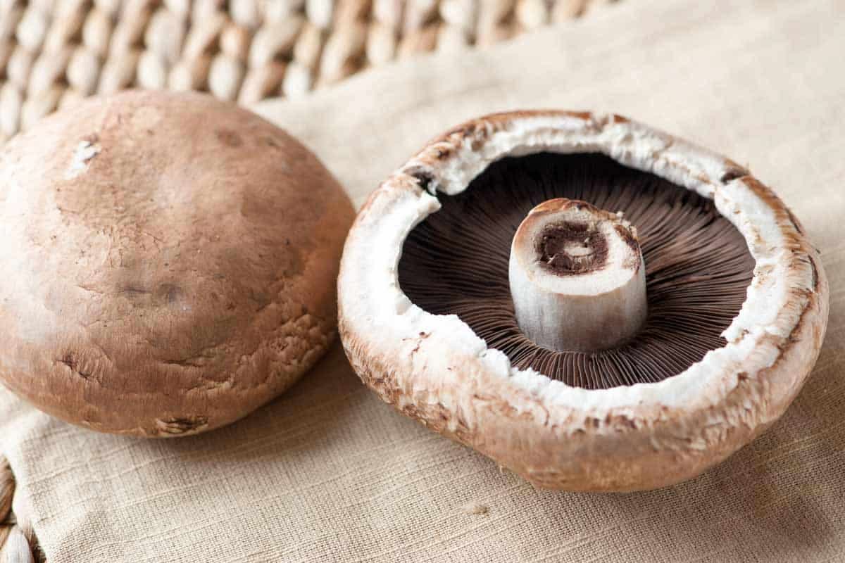 portobello mushroom calories