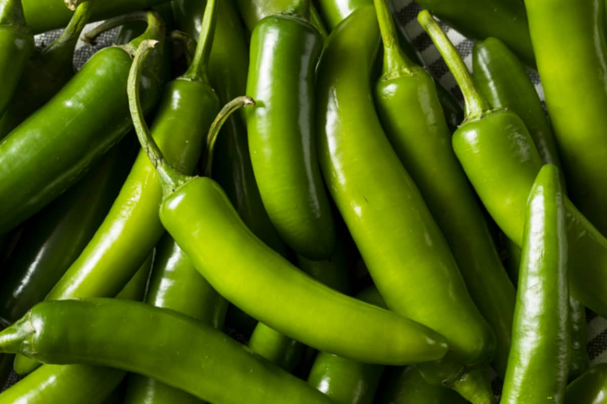 green cayenne pepper uses