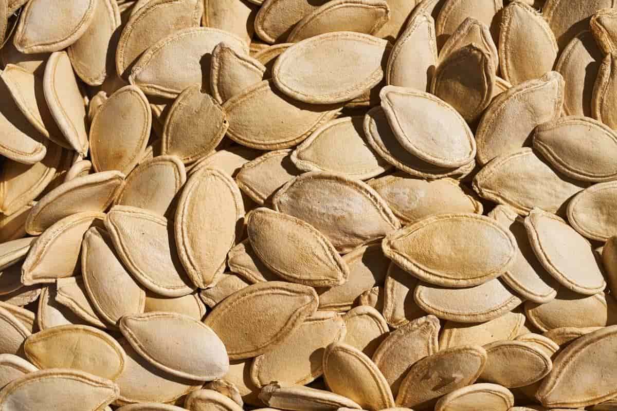 pumpkin seeds nutrition data