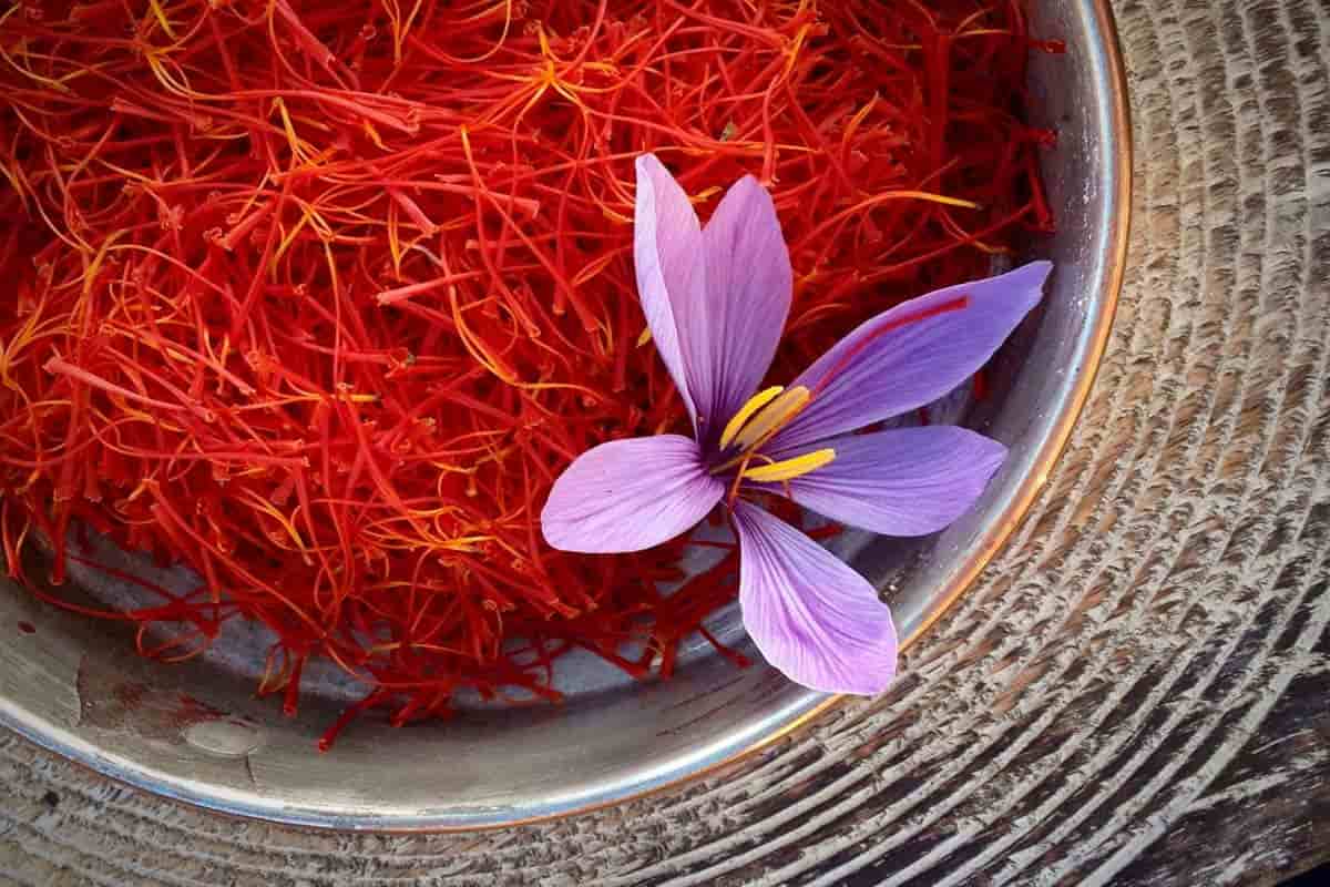 pure natural saffron