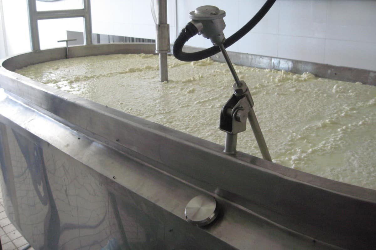 Cheese Making Machine