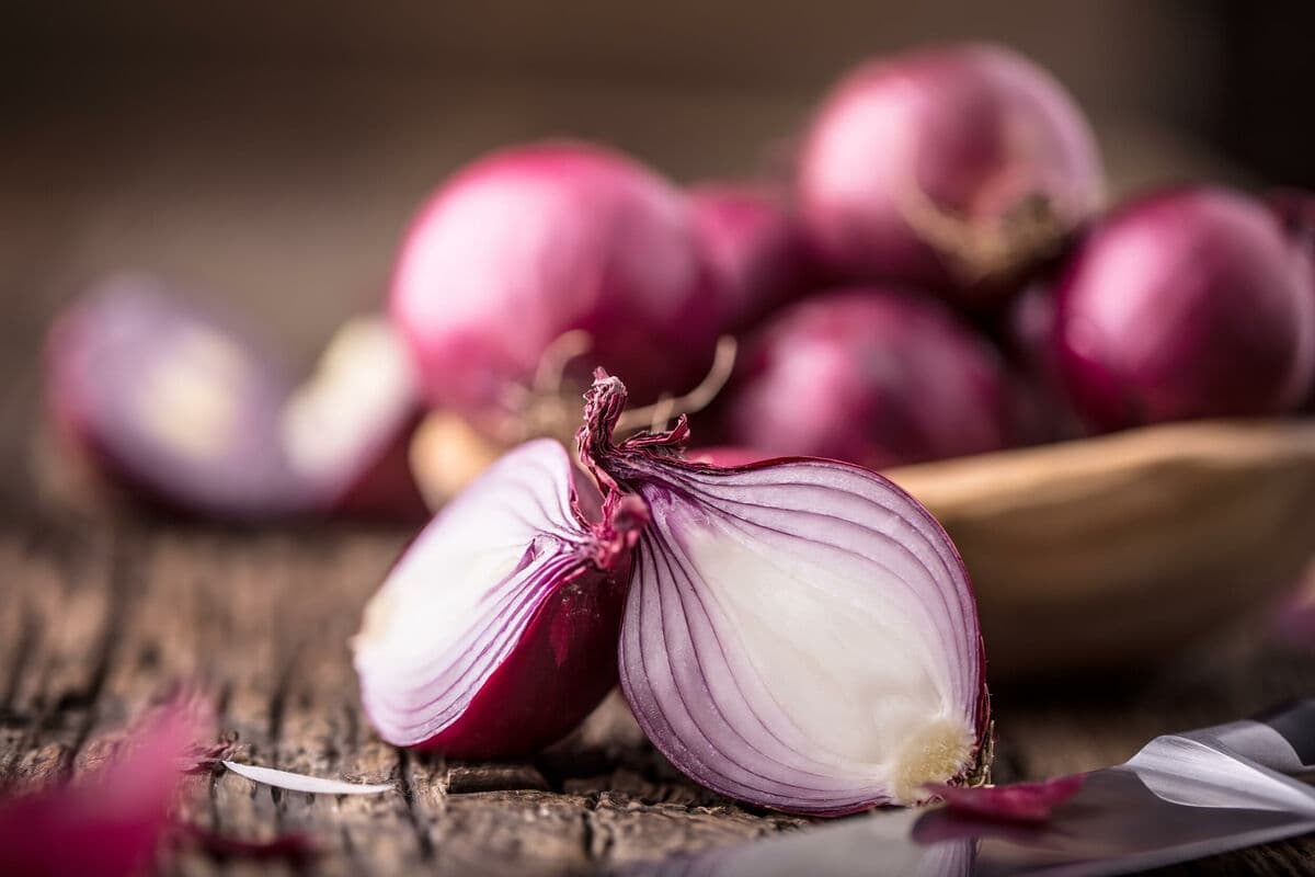 red small onion calories