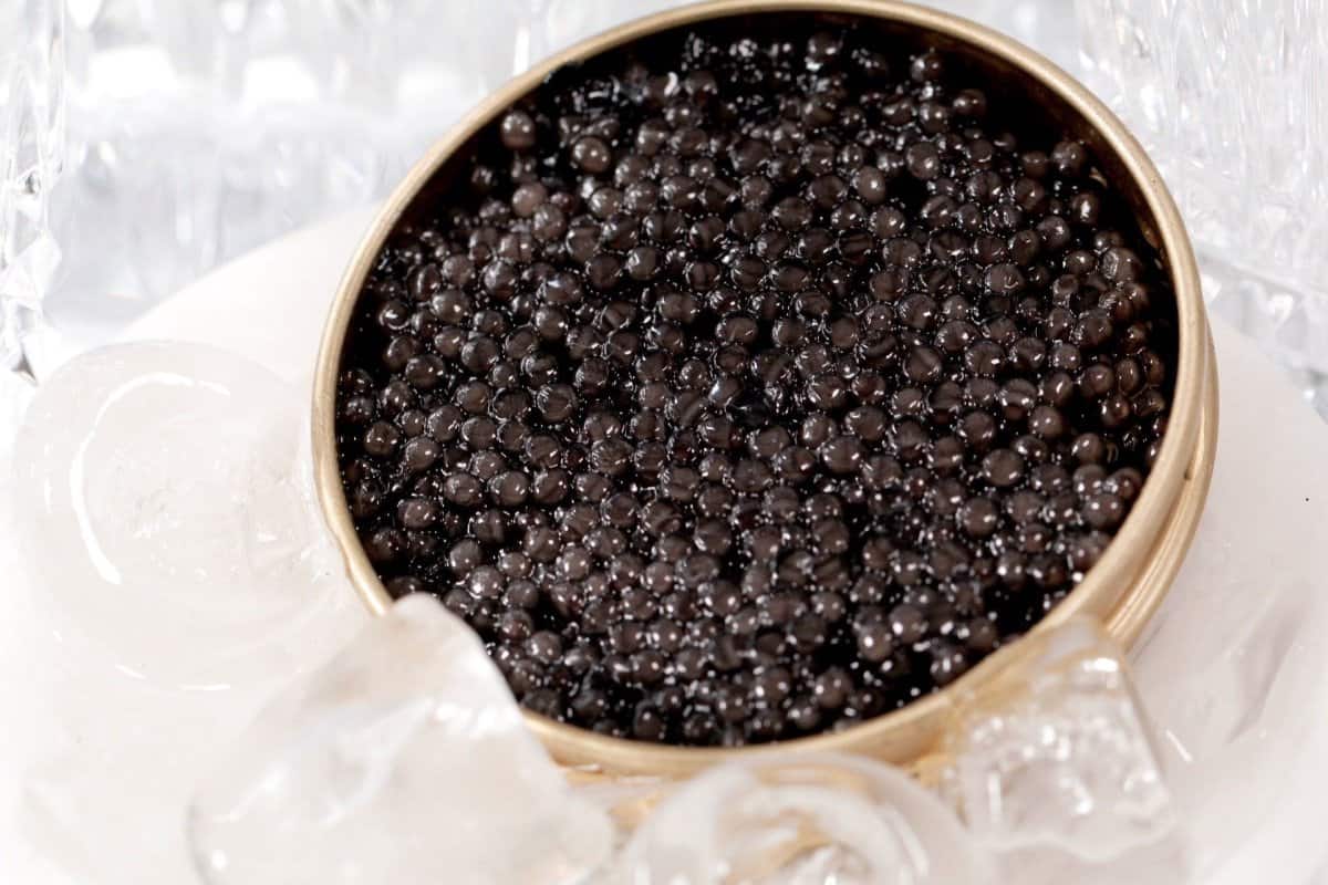 best russian beluga caviar