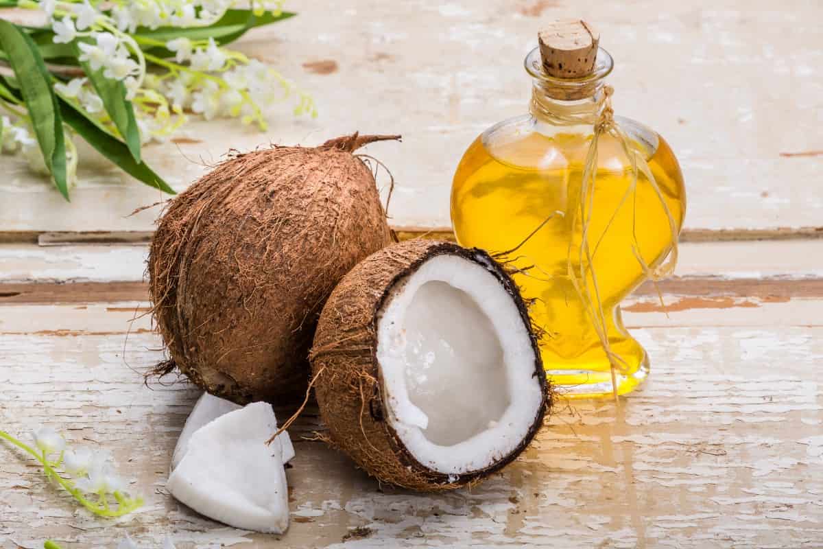 coconut extract oil