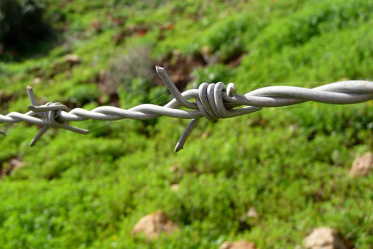 double barbed wire
