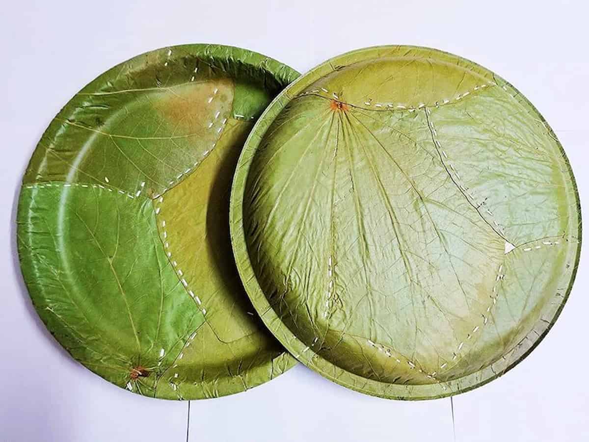 leaf disposable plates india