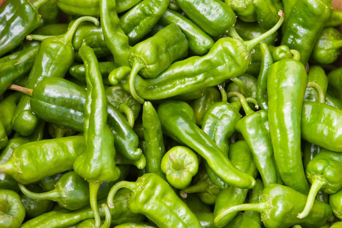 green cayenne pepper hot sauce