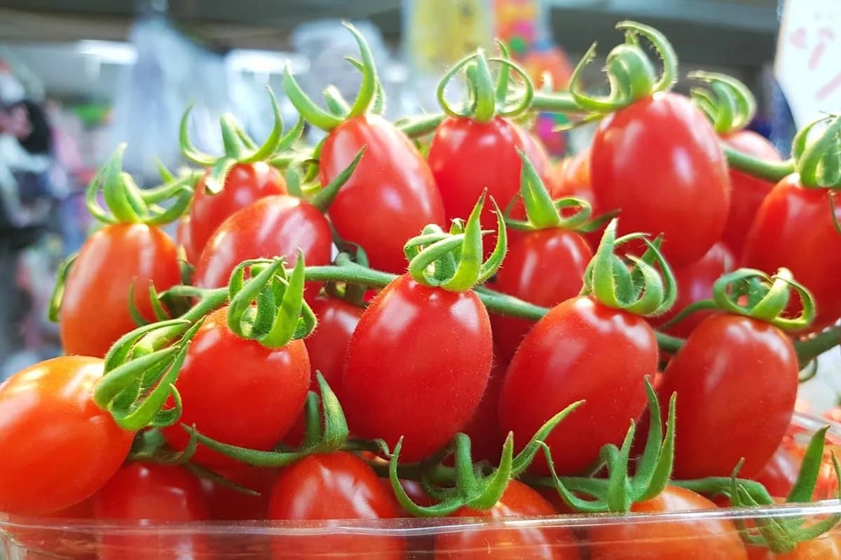 cherry tomatoes nutrition