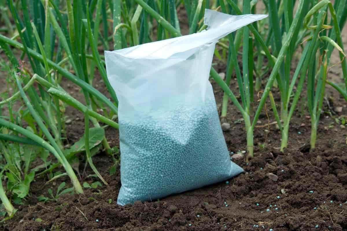 organic nitrate fertilizer