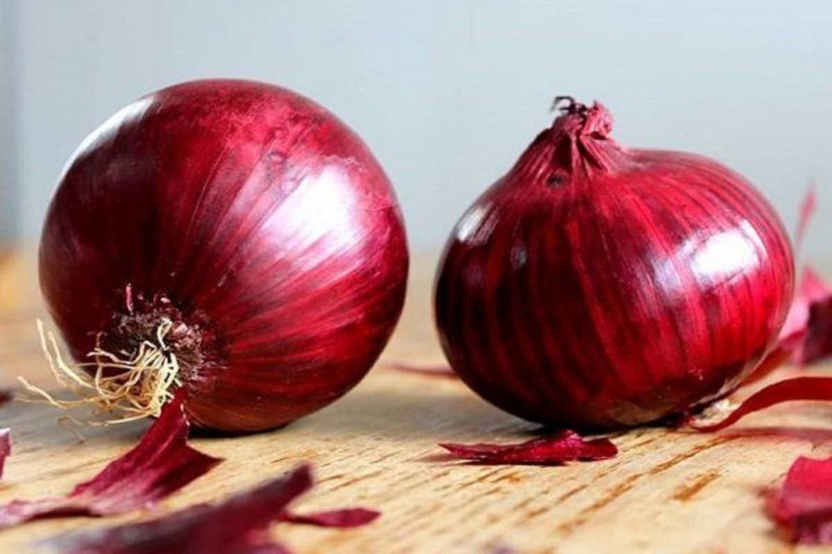 fresh red onion 