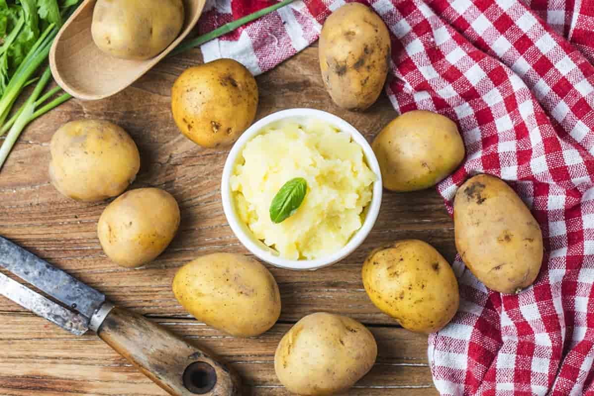 potato puree
