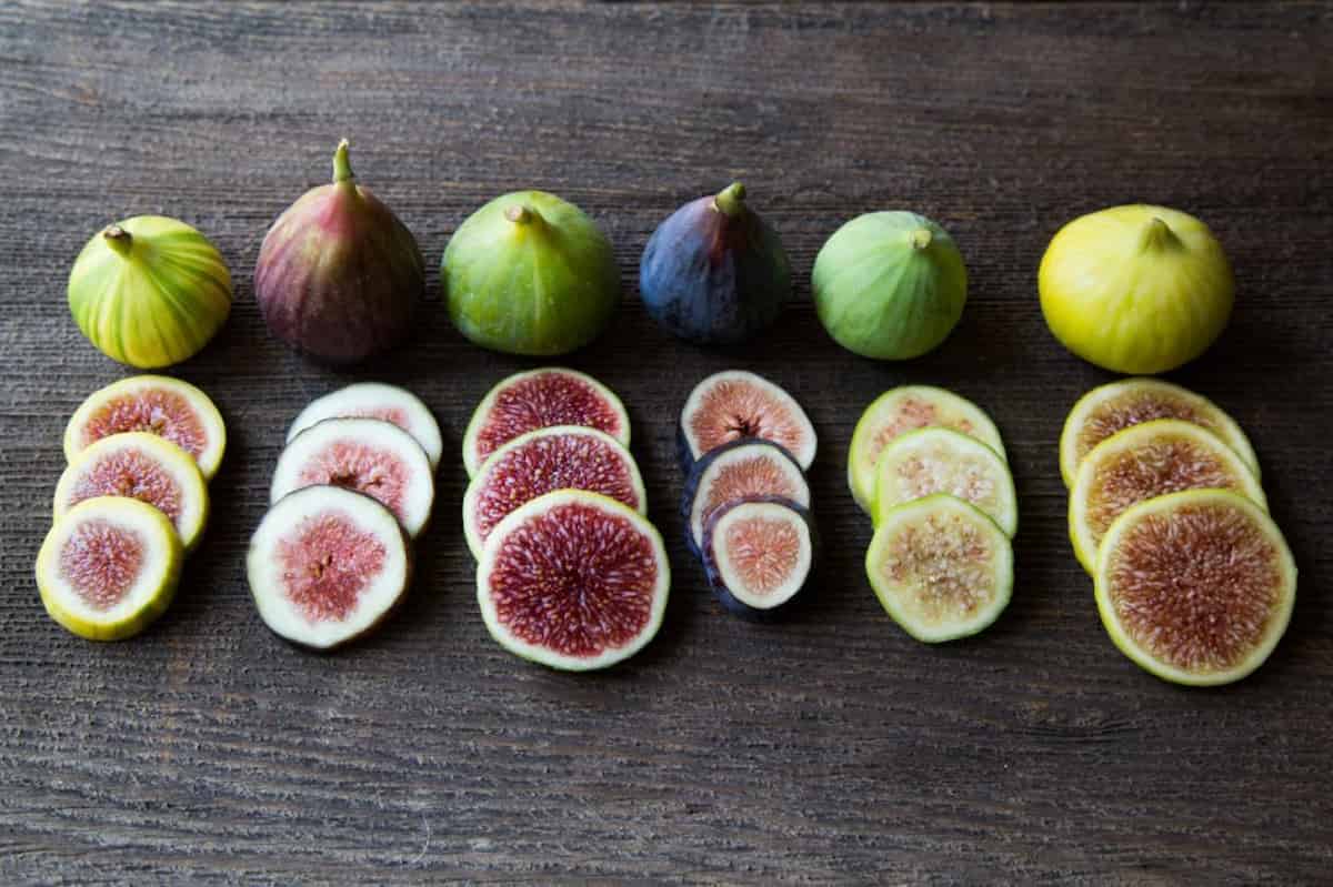 fresh figs for dogs