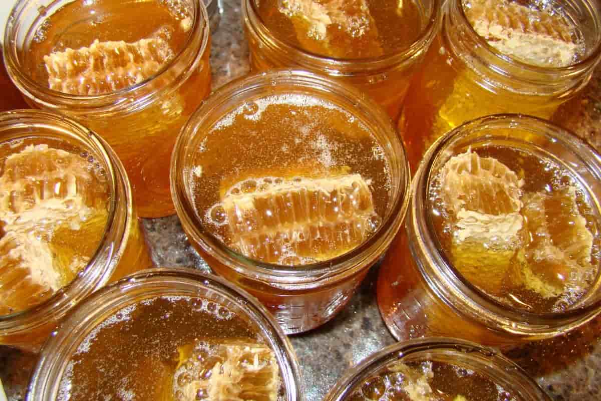 Elvish Honey