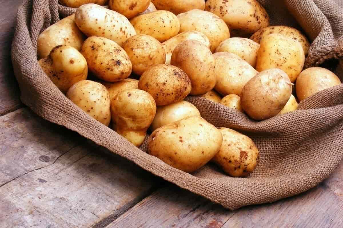 1 Kg Potato 