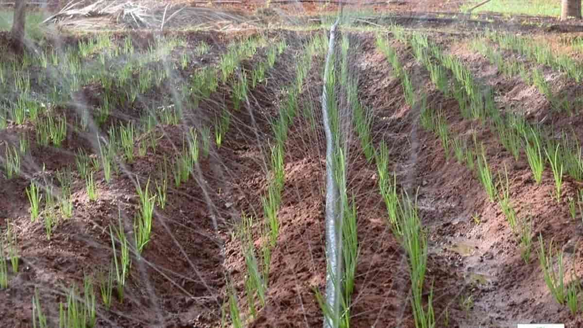 rain irrigation system