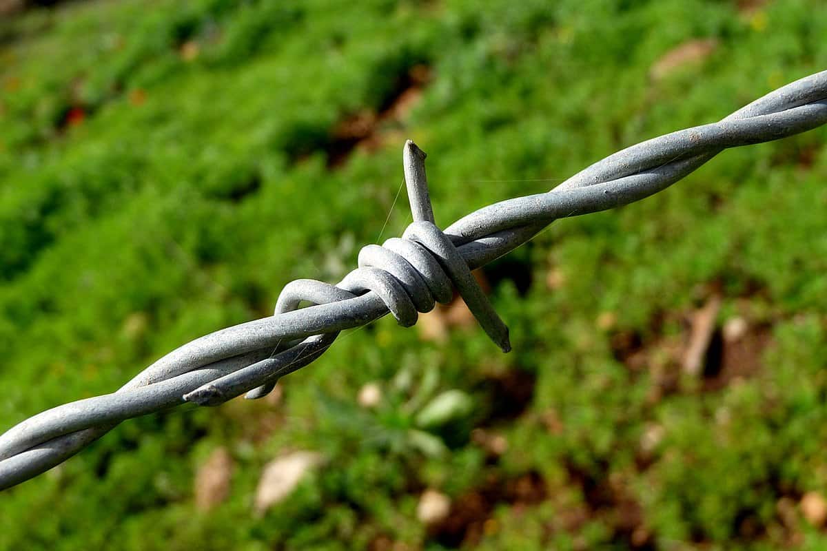 security barbed wire