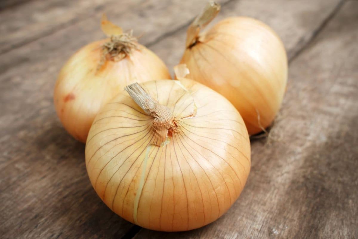 organic onion