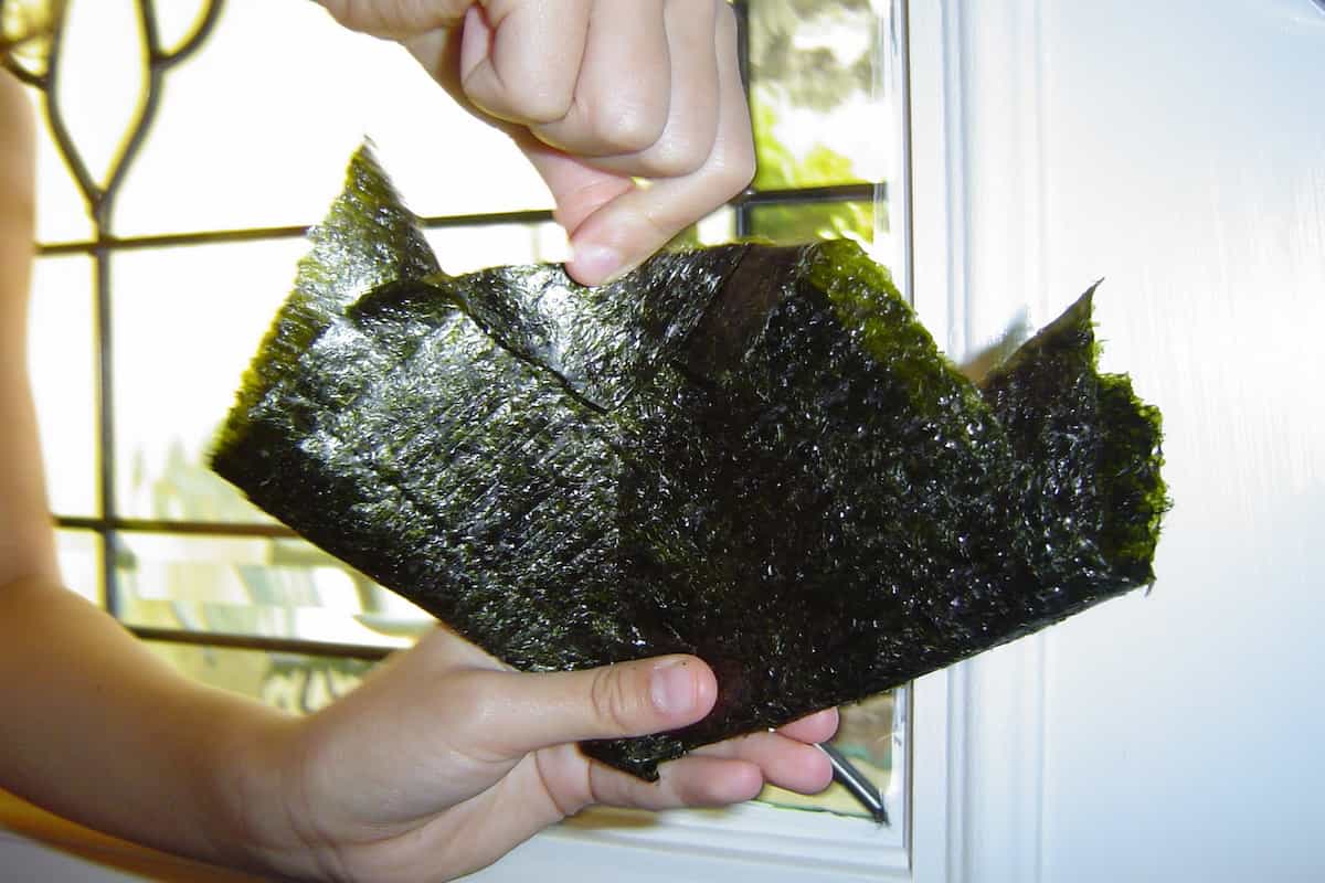 seaweed paper snack
