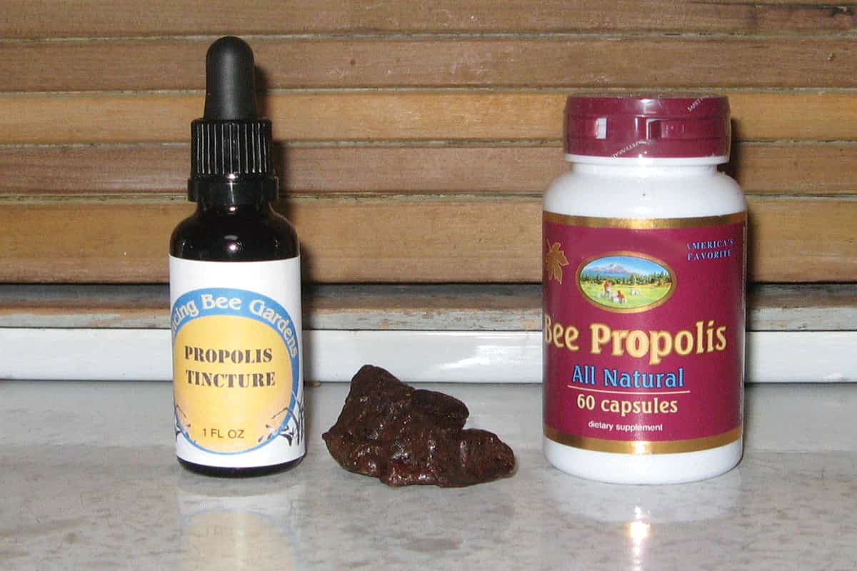 propolis liquid extract