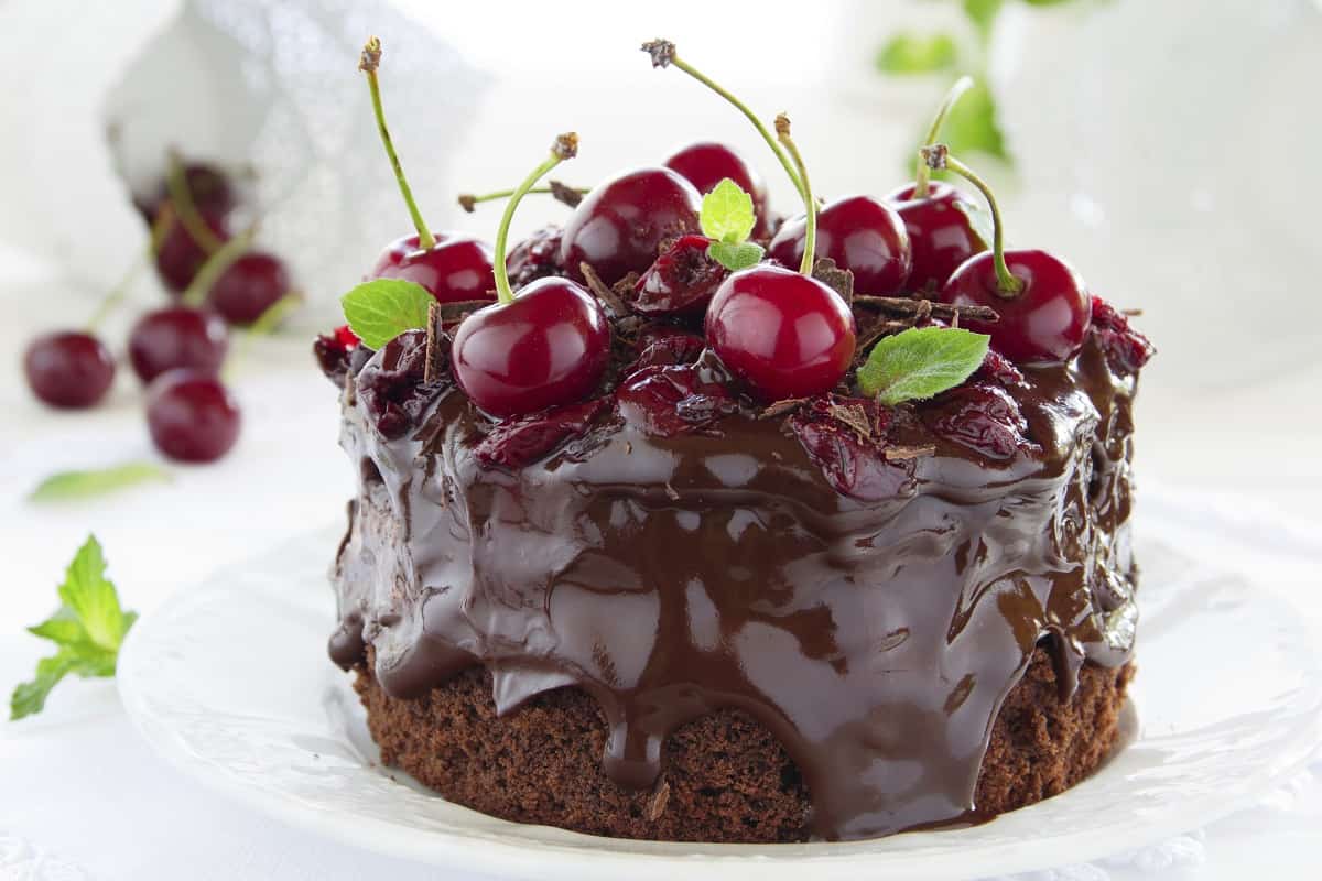 chocolate forest cake