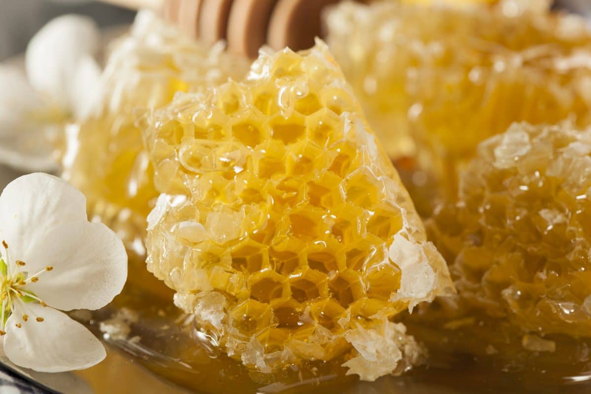 Raw Honey Per Pound; Features Unheated Unfiltered Properties