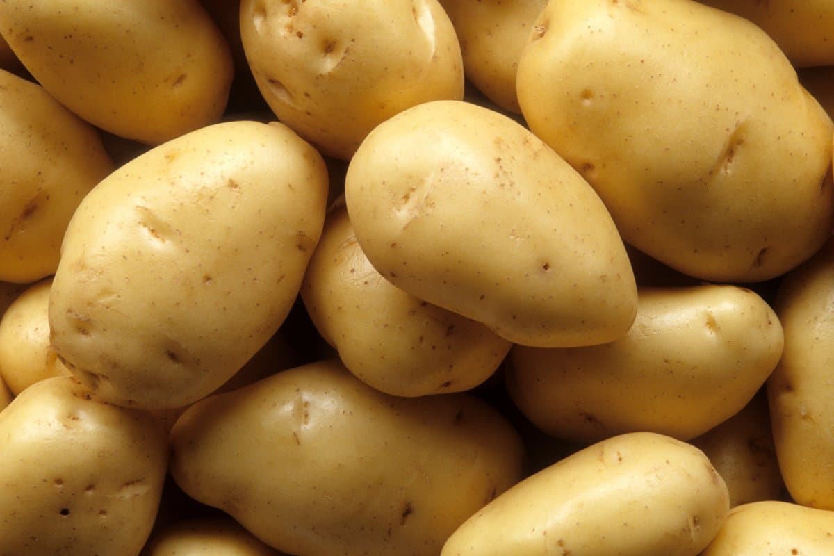 kolkata potato price