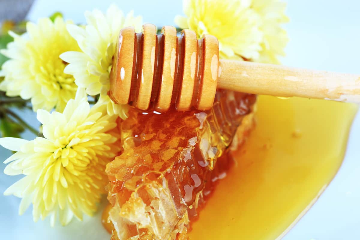 organic royal honey