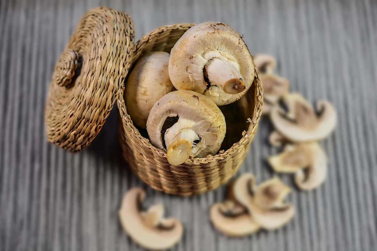 fresh mushrooms in air fryer