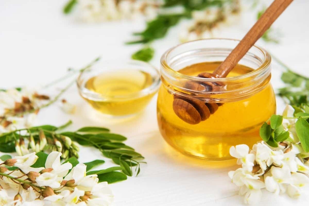 acacia honey vs manuka