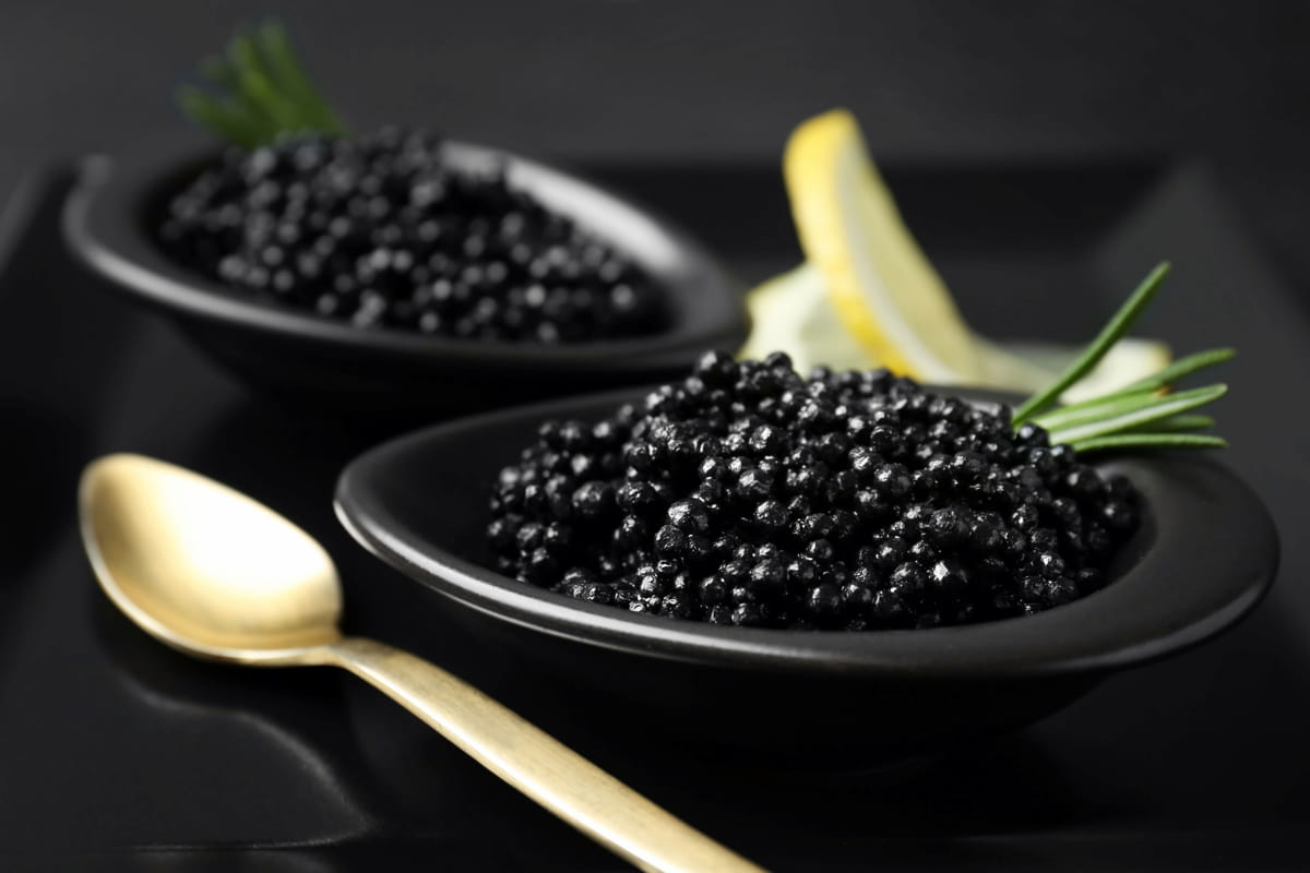 russian black caviar beluga