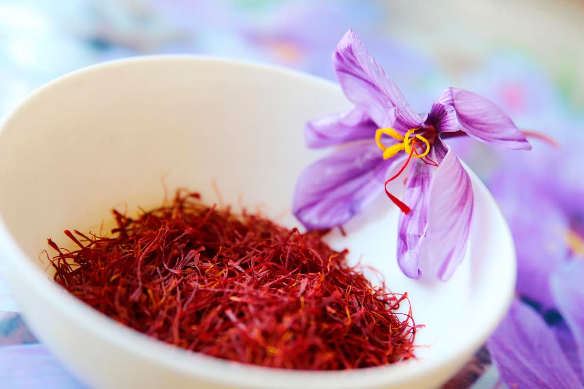 turkish saffron vs iranian saffron
