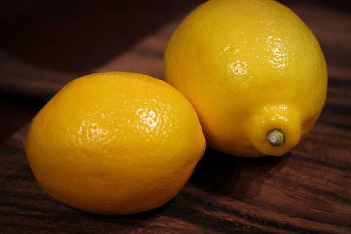 Meyer Lemon in India