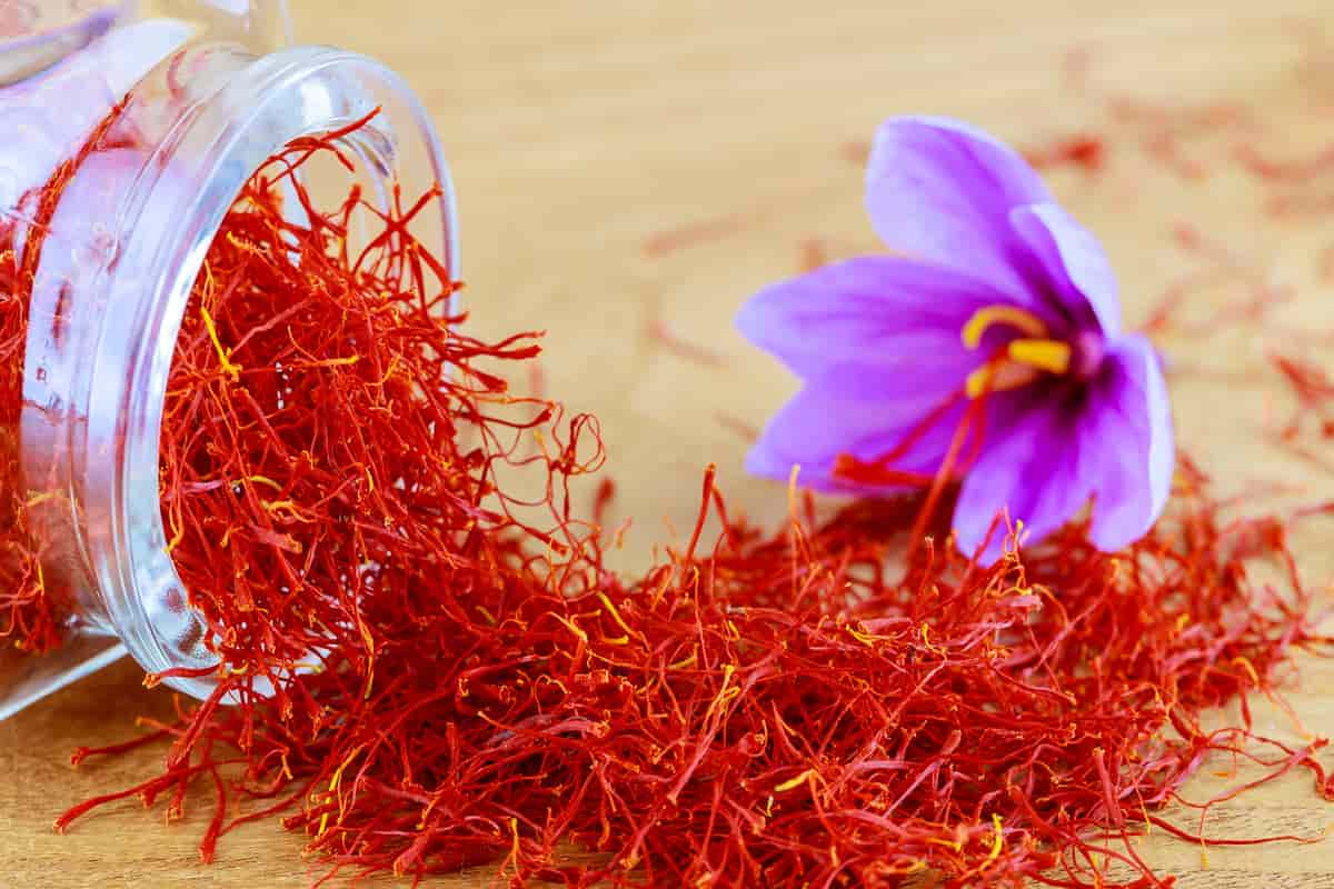 why real saffron is so expensive