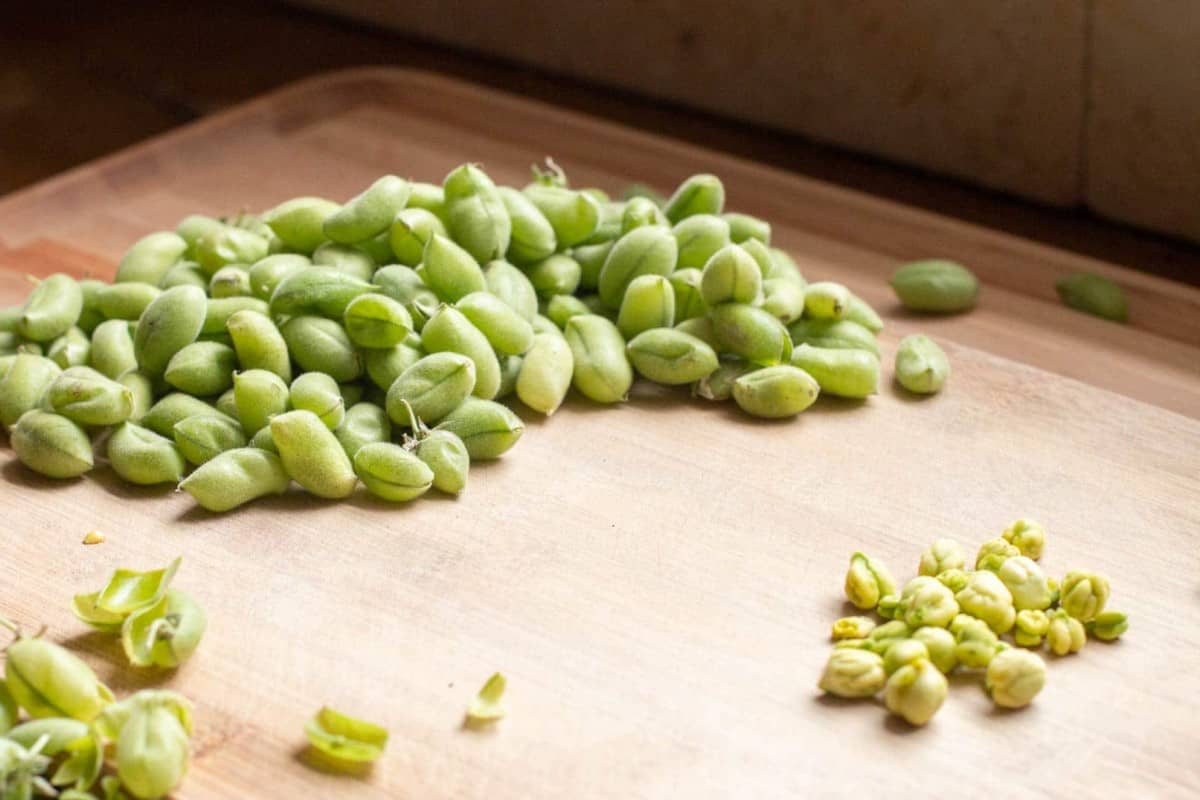 Dried Green Chickpeas