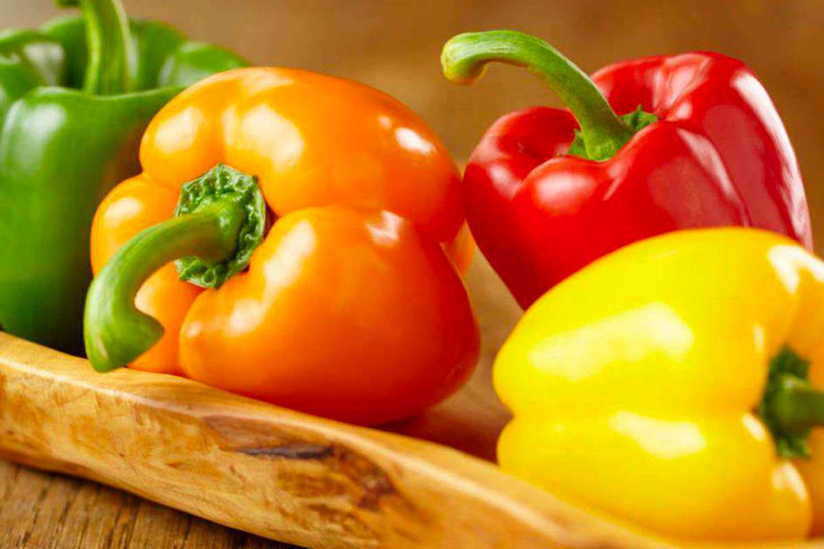 bell pepper organic