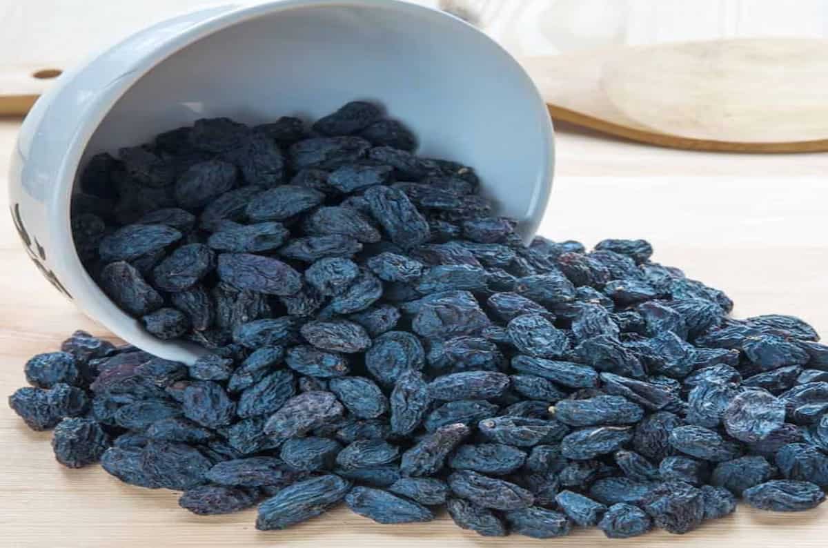 black raisins in kannada
