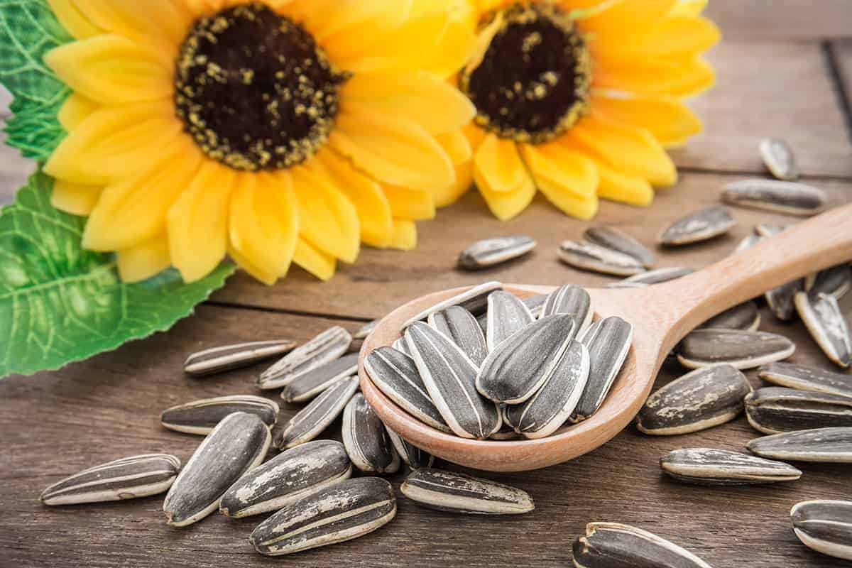 Raw Sunflower Seeds