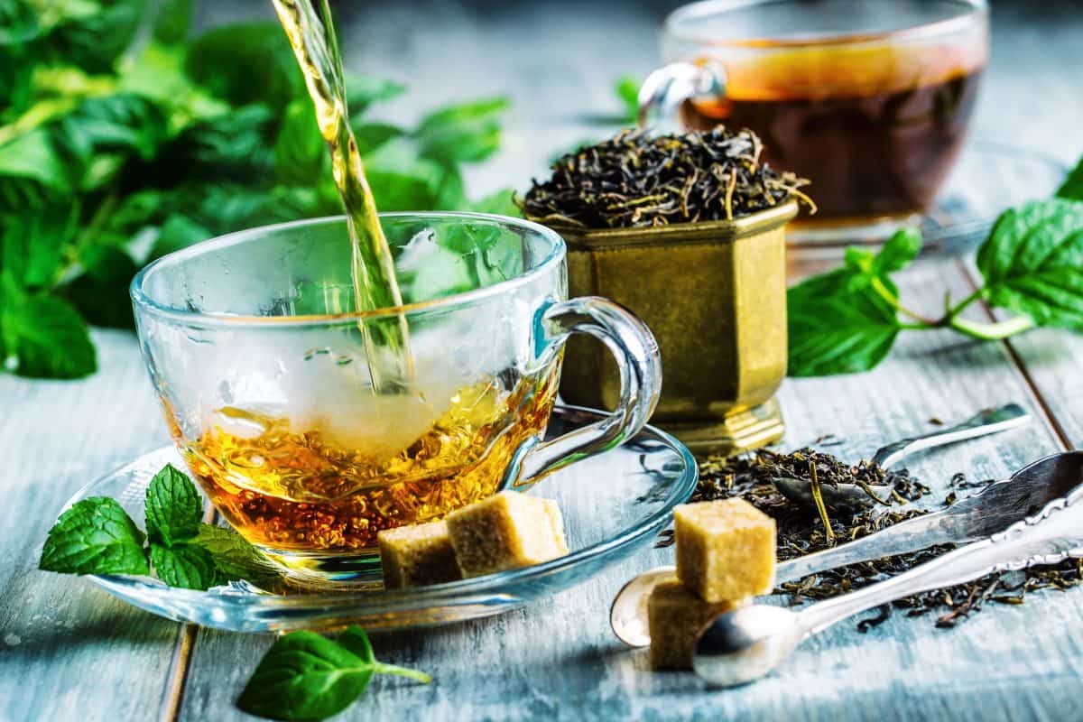 herbal tea pronunciation