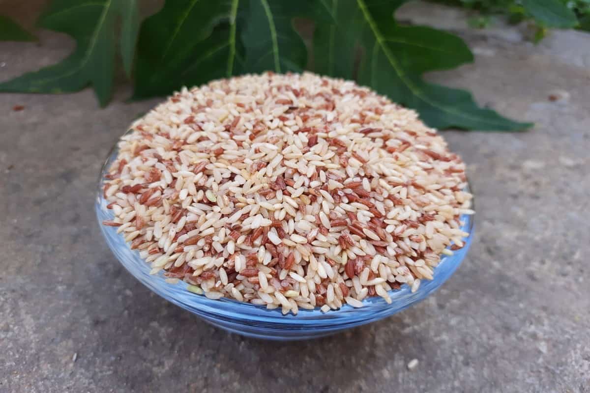 red rajamudi rice