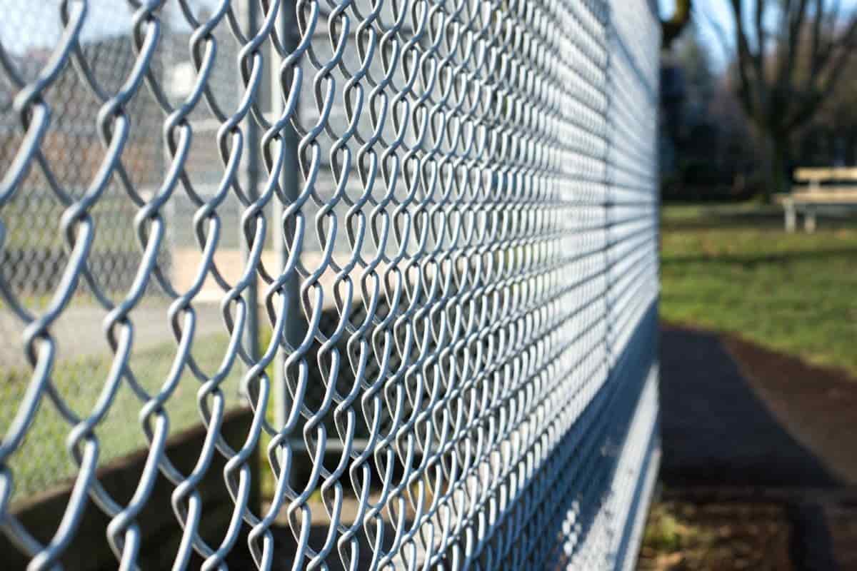 fencing mesh wire