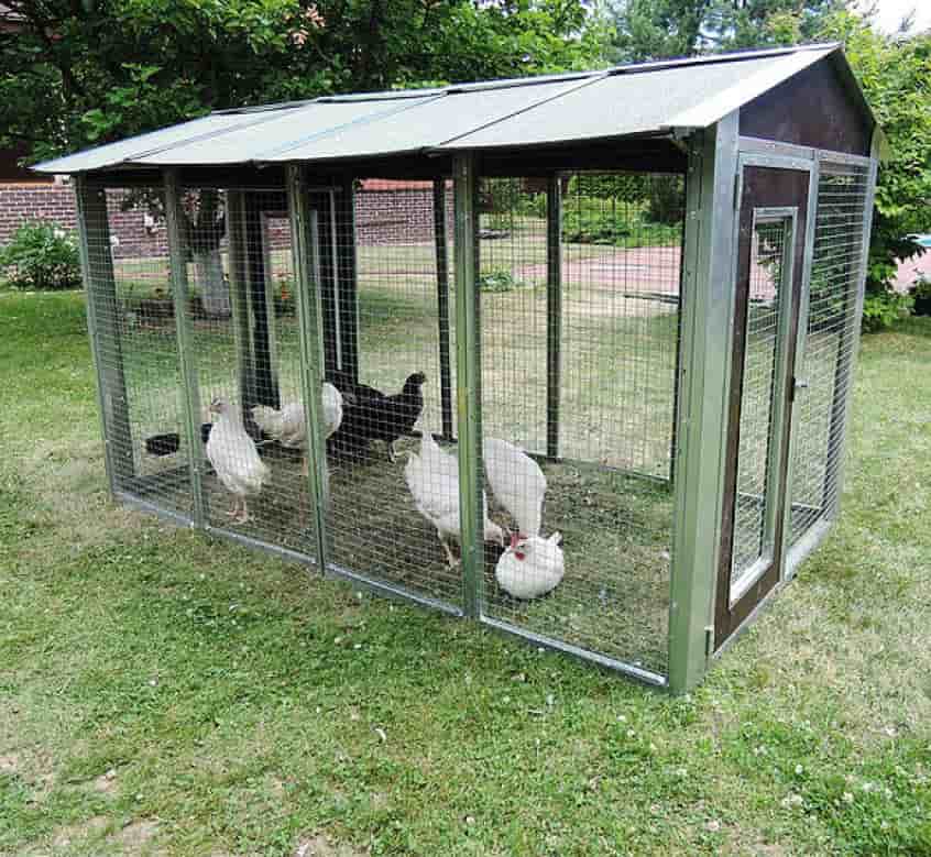 chicken mesh bunnings