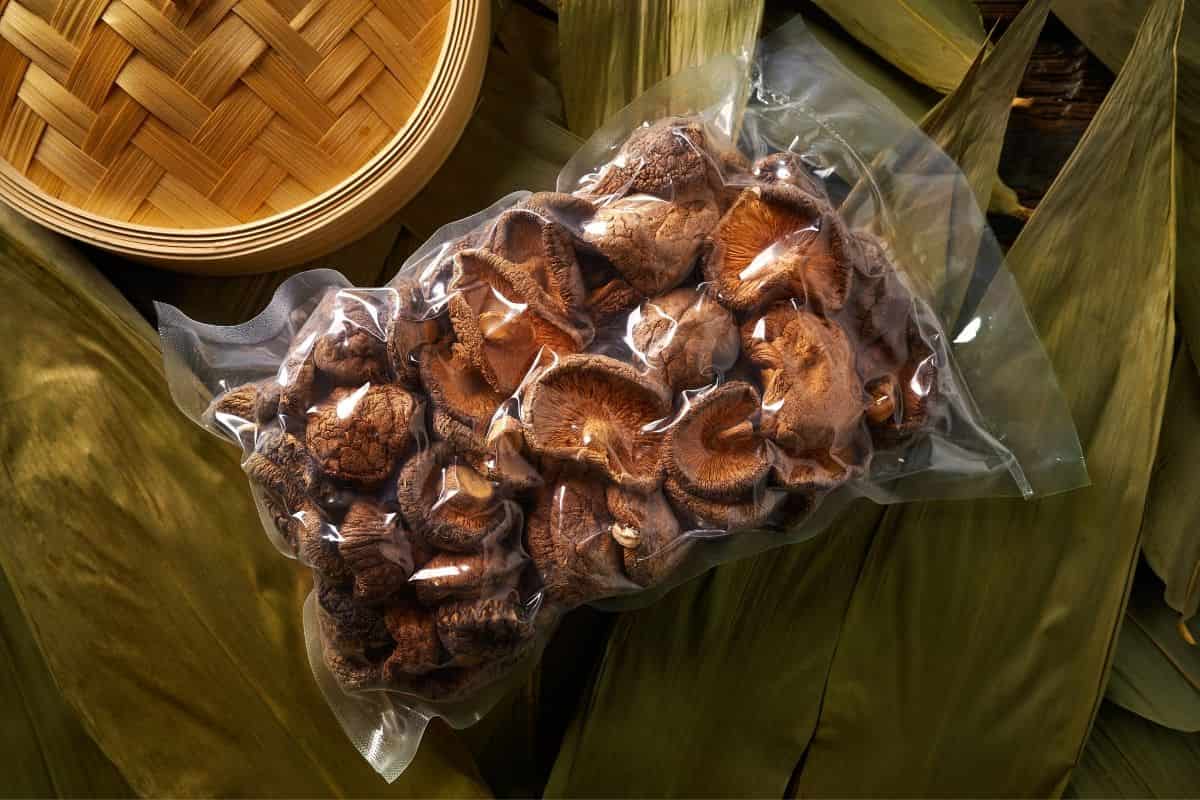 Dry Mushroom Coatco