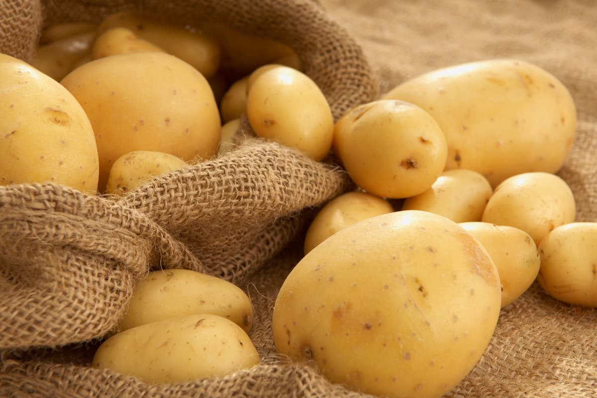 Sri Lanka Potato